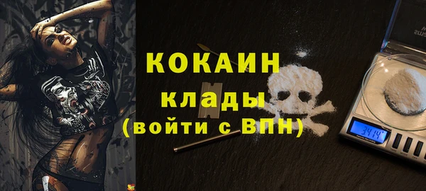 гидра Богданович